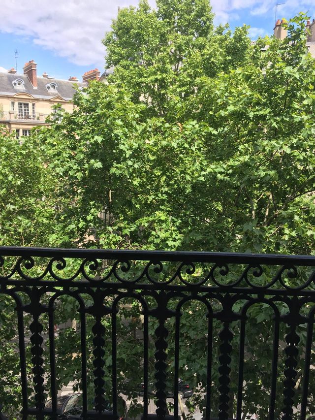 Appartement F7 à vendre - 7 pièces - 187 m2 - Paris - 75017 - ILE-DE-FRANCE