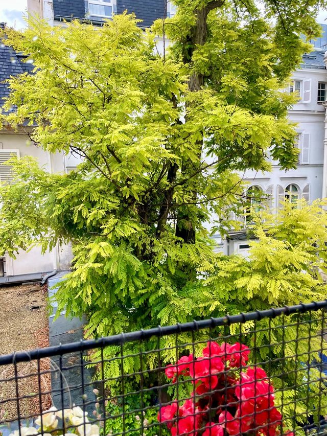 Appartement F6 &agrave; vendre - 6 pi&egrave;ces - 142 m2 - Paris - 75008 - ILE-DE-FRANCE