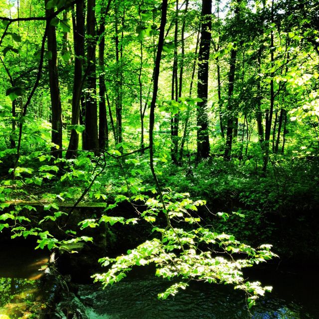 Maison à vendre - 28 pièces - 1500 m2 - 02 - PICARDIE