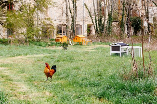 Maison à vendre - 28 pièces - 1500 m2 - 02 - PICARDIE