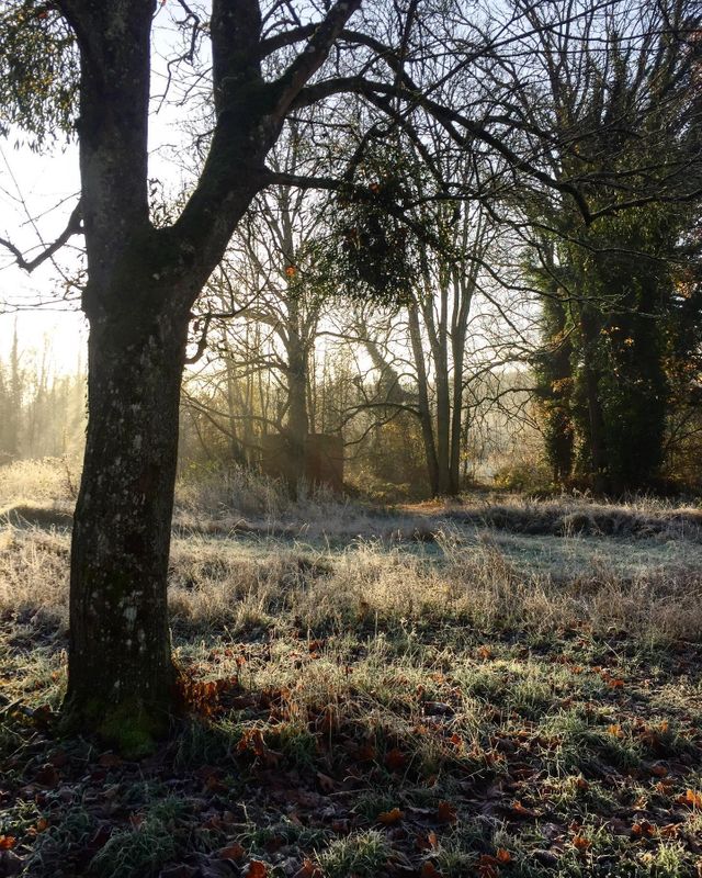 Maison à vendre - 28 pièces - 1500 m2 - 02 - PICARDIE