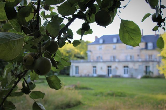 Maison à vendre - 28 pièces - 1500 m2 - 02 - PICARDIE