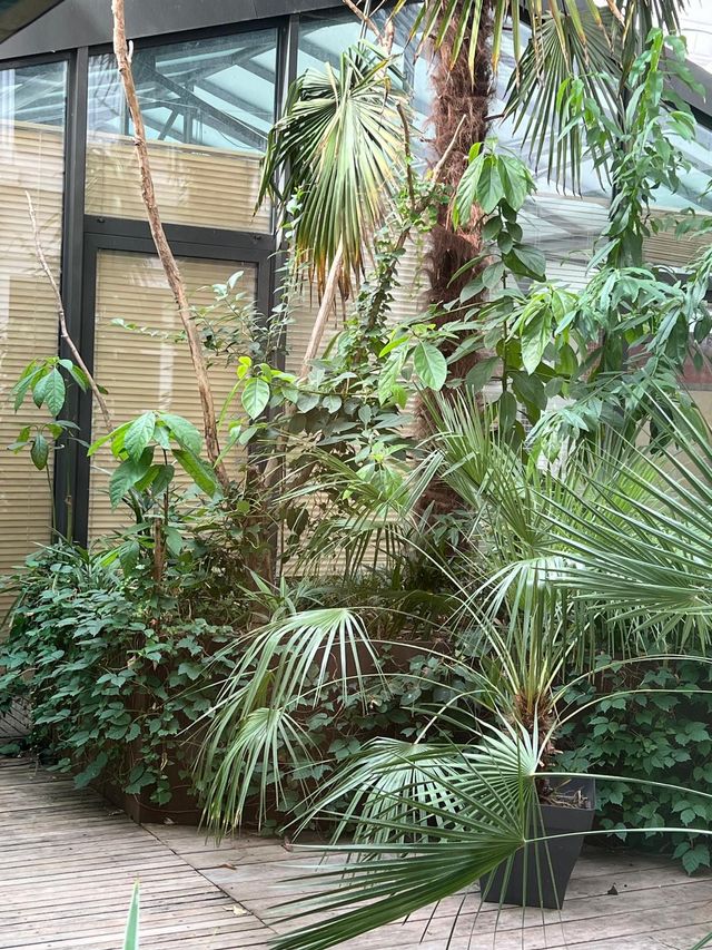 Appartement Atelier d'artiste &agrave; vendre - 5 pi&egrave;ces - 174,68 m2 - Paris - 75002 - ILE-DE-FRANCE